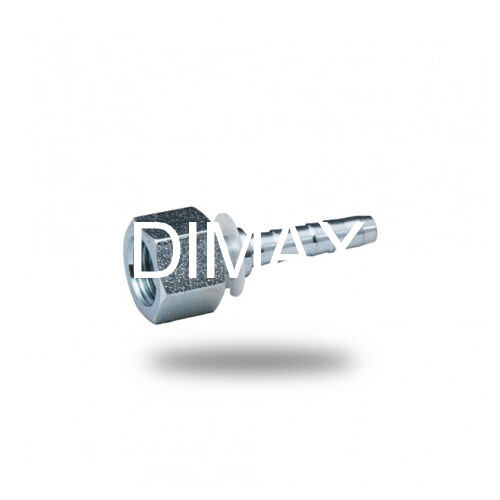 ΘΗΛΥΚΑ BSP ΙΣΙΑ ΕΔΡΑ